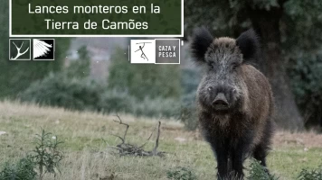 Lances monteros en la Tierra de Camöes
