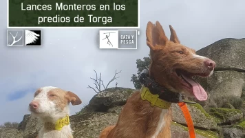 Lances monteros en los predios de Torga