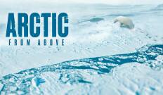 Arctic from Above