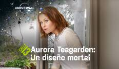 Un misterio para Aurora Teagarden: Un diseño mortal