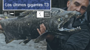 Los últimos gigantes