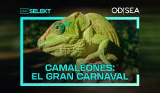 Camaleones: el gran carnaval
