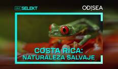 Costa Rica: naturaleza salvaje