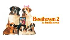 Beethoven 2, la familia crece