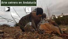 Arte cetrero en Andalucía