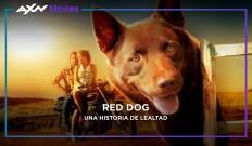 Red Dog: una historia de lealtad