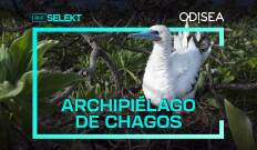 Archipiélago de Chagos