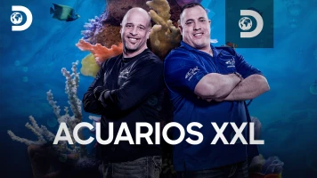 Acuarios XXL