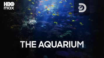 The Aquarium