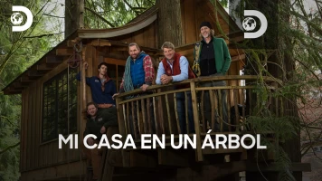 Mi casa en un árbol
