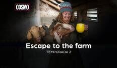 Escape to the farm