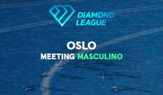Meeting. Meeting: Oslo
