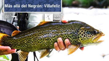 Más allá del Negrón, Villafeliz