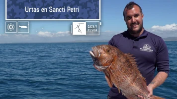 Urtas en Sancti Petri