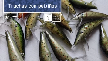 Truchas con peixiños