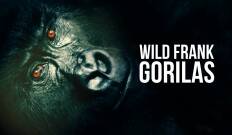 Wild Frank Gorilas