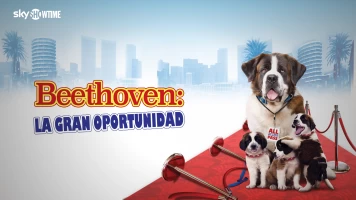Beethoven: la gran oportunidad