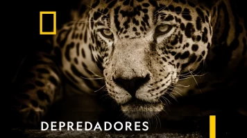 Depredadores