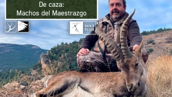 De caza: machos del Maestrazgo