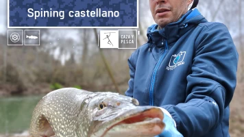 Spinning castellano