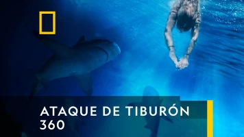 Ataque de tiburón 360