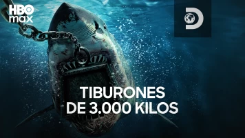 Tiburones de 3.000 kilos
