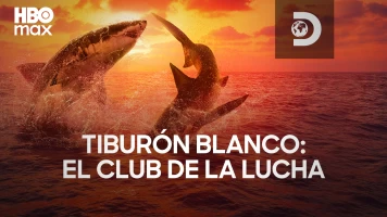 Tiburón blanco: el club de la lucha