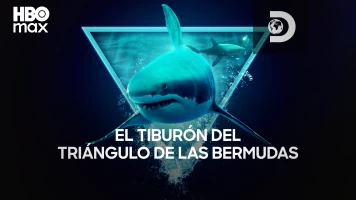 El tiburón del Triángulo de las Bermudas