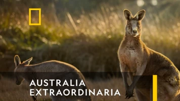 Australia extraordinaria