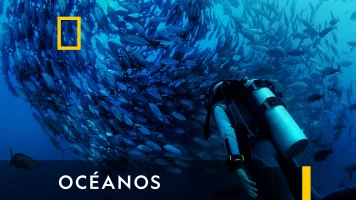 Océanos