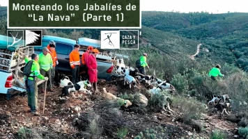 Monteando los jabalies de La Nava. 1º Parte