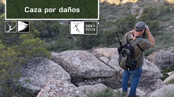 Caza por daños