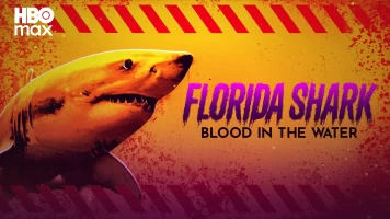 Tiburones en Florida