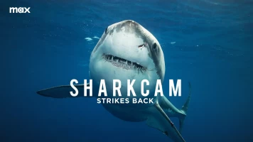 Sharkcam: Mejores momentos