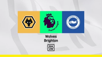 Jornada 36. Jornada 36: Wolverhampton - Brighton & Hove Albion