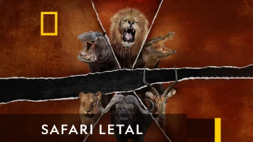 Safari letal