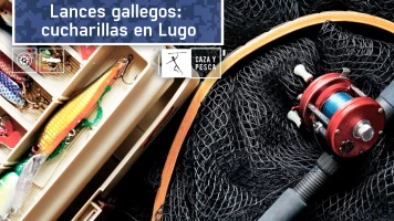 Lances gallegos: cucharillas en Lugo