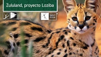Zulú Land Proyecto Loziba