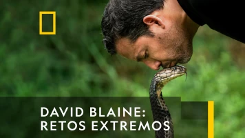 David Blaine: Retos Extremos