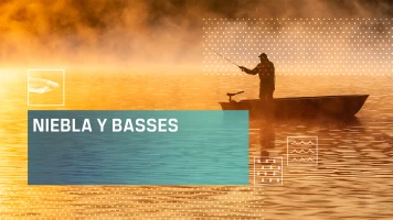 Niebla y basses