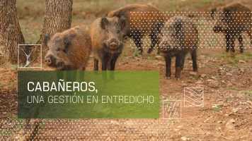 Cabañeros, una gestión en entredicho