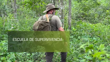 Escuela de supervivencia