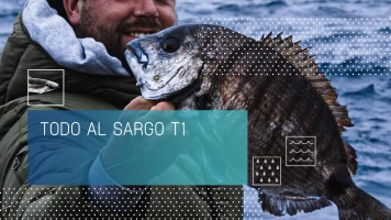Todo al sargo