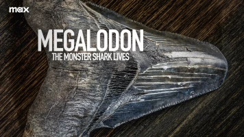 La leyenda del Megalodón