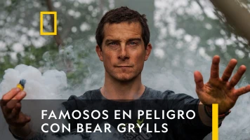 Famosos en peligro: el desafío