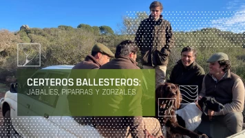 Certeros ballesteros: Jabalíes, piparras y zorzales