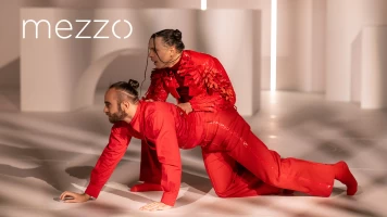 Don Quixote - Ballet de Berna