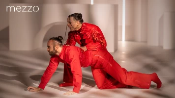 Don Quixote - Ballet de Berna