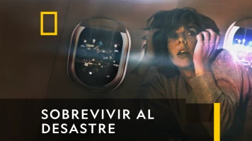 Sobrevivir al desastre