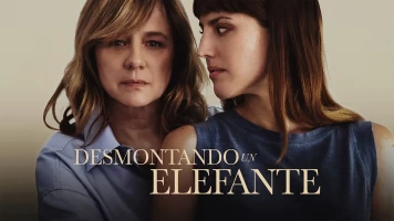 Desmontando un elefante